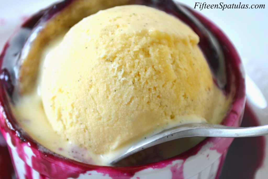 Homemade Vanilla Ice Cream Without An Ice Cream Machine - Fifteen Spatulas