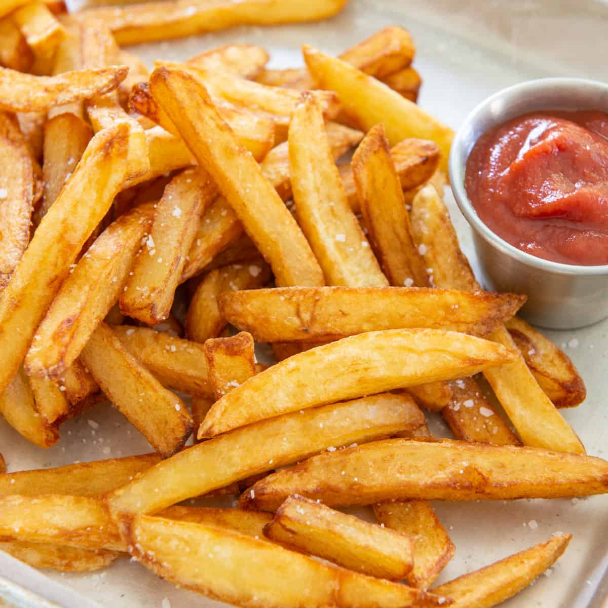 Deep Fryer French Fries