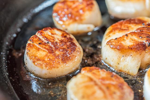 grilled sea scallop recipes