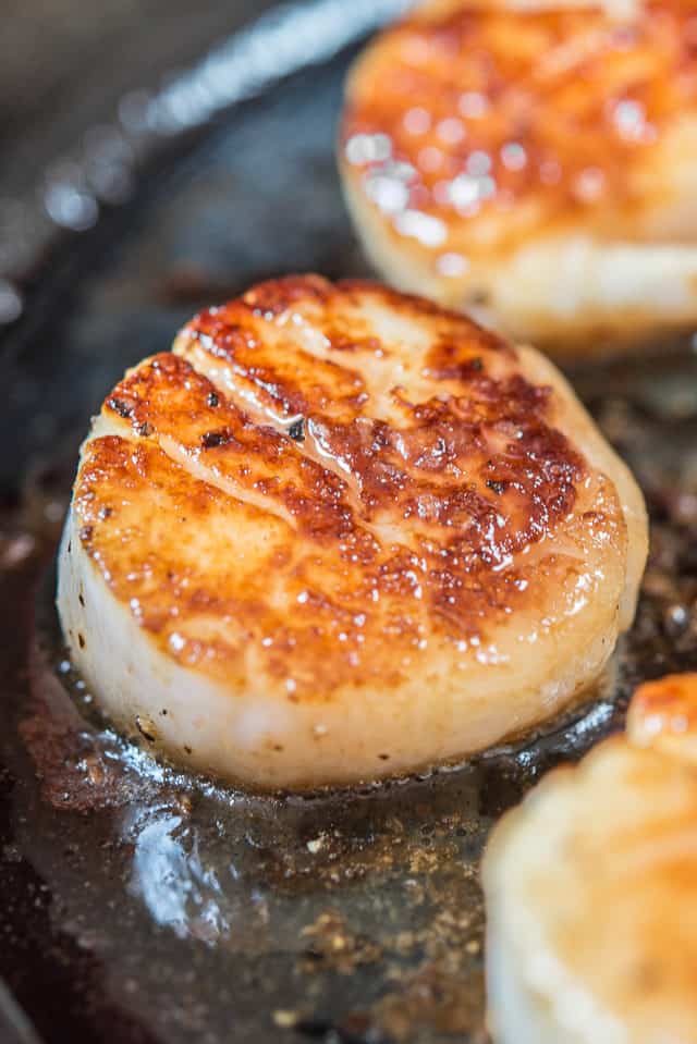 Seared Scallops - How to cook scallops perfectly with a golden brown crust