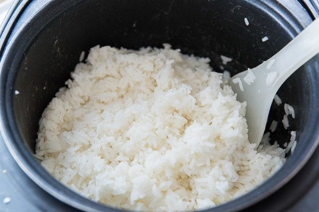 Sushi Rice Recipe - One Batch in Cooker Container with Paddle