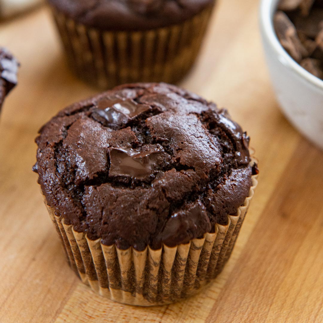 The Best Chocolate Cupcakes - Cupcake Project